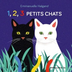 1-2-3-petits-chats-editions-magellan-et-cie-400x400.jpg